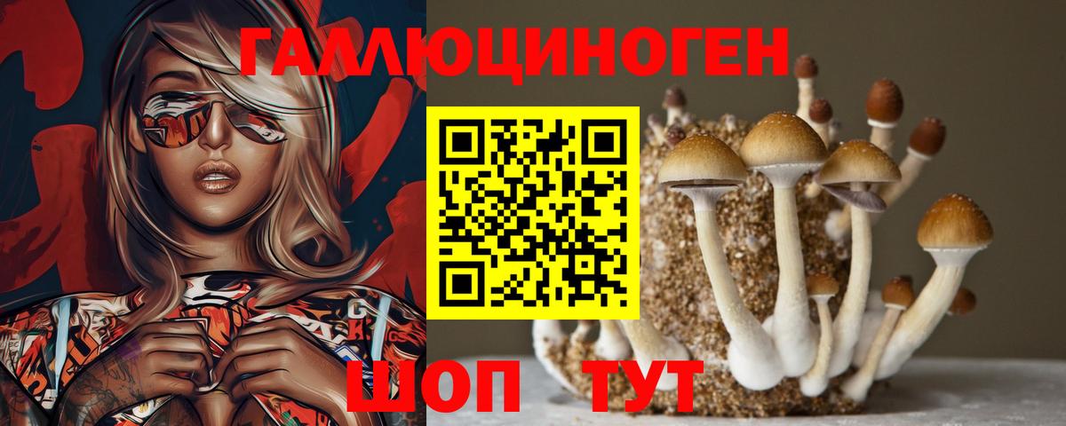 Псилоцибиновые грибы Magic Shrooms  Вход с VPN  Гуково 