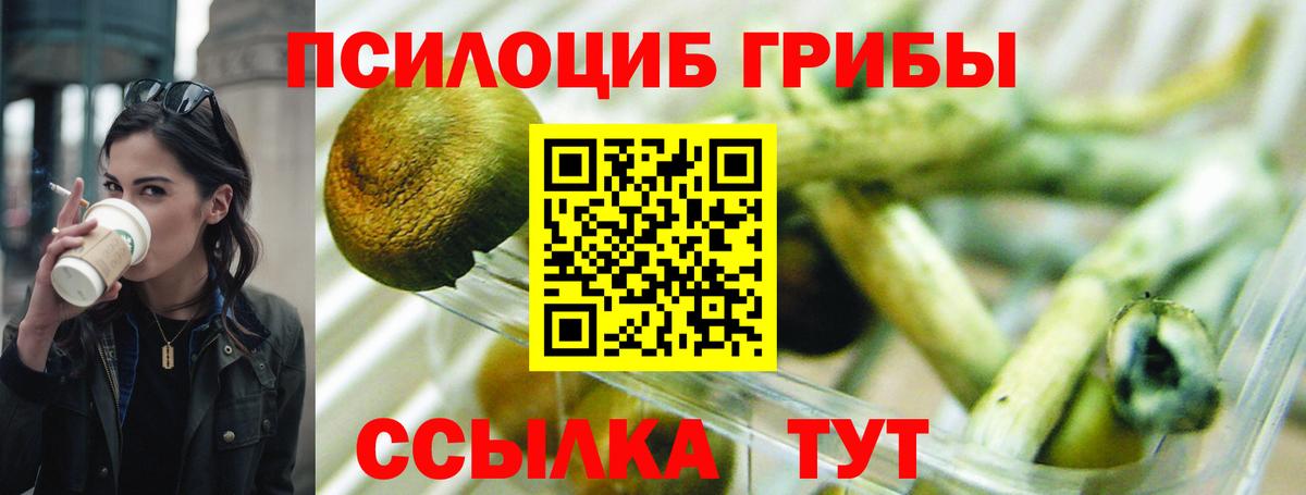 Галлюциногенные грибы Psilocybine cubensis Гуково